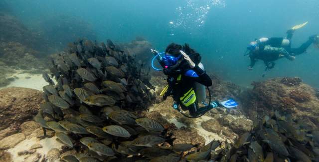 Scuba Diving Experience
